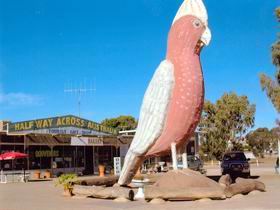  Taree Accommodation