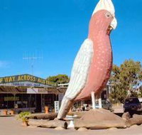 The Big Galah - Taree Accommodation
