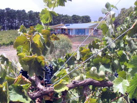 Zimmermann Wine - Taree Accommodation 0
