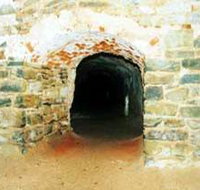 Unicorn Brewery Cellars - Taree Accommodation