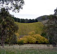 Mt Bera Vineyards - Taree Accommodation