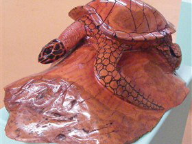 Ants Redgum Gallery - Taree Accommodation 0