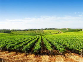 Aldinga SA Taree Accommodation