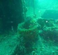 Wallaroo Scuba Club - Taree Accommodation