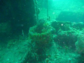 Wallaroo Scuba Club - Taree Accommodation 0