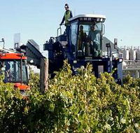 Ballast Stone Estate Wines Pty Ltd