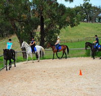 Megan Jones Riding School and Trail Rides - Taree Accommodation