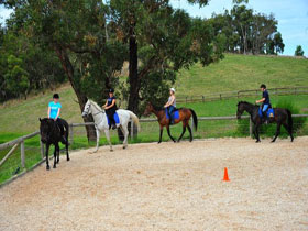 Megan Jones Riding School And Trail Rides - Taree Accommodation 0