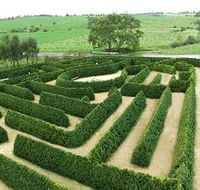 Mintaro Maze and Gift Shop - Taree Accommodation