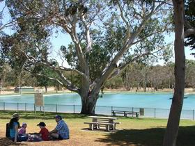 Naracoorte Nature Park And Swimming Lake - Taree Accommodation 0