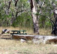 Penola Conservation Park - Taree Accommodation