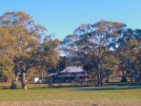 Wilpena Pound SA Taree Accommodation