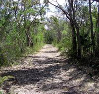 Wendy's Walk - Taree Accommodation