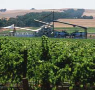 Kirrihill Wines - Taree Accommodation
