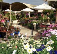 Serenity Nursery - Taree Accommodation