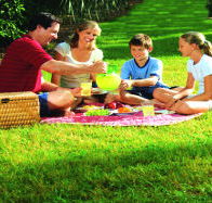 Bruny Island Berry Farm - Taree Accommodation