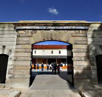 Tasmanian Museum and Art Gallery - Taree Accommodation