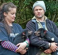 devilscradle - Taree Accommodation