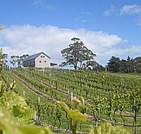 Bruny Island Premium Wines Bar and Grill - Taree Accommodation