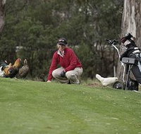Tasmania Golf Club - The - Taree Accommodation