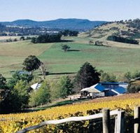 Freycinet Vineyards Pty Ltd - Taree Accommodation