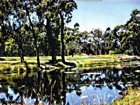 Forest ACT Taree Accommodation