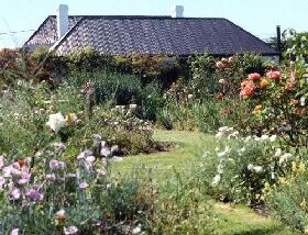 Rosedown Gardens - Taree Accommodation 0