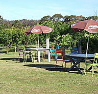 Cerise Brook Orchard  Family Golf - Taree Accommodation
