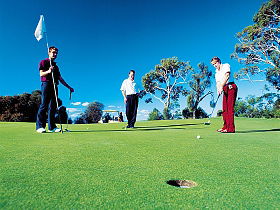Llanherne Golf Club - Taree Accommodation 0