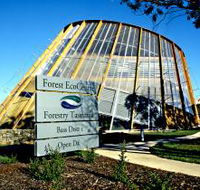 Forest EcoCentre - Taree Accommodation