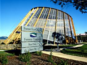 Forest EcoCentre - Taree Accommodation 0
