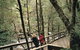 Franklin River Nature Trail - thumb 0