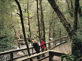 Franklin River Nature Trail - Taree Accommodation 0