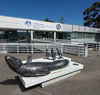 Australia's Antarctic Headquarters - Taree Accommodation