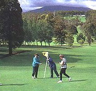 Deloraine Golf Course - Taree Accommodation