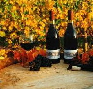 Craigow Vineyard - Taree Accommodation