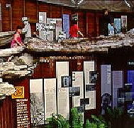 West Coast Visitor Information and Booking Centre - Taree Accommodation