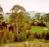 The Tasmanian Arboretum - Taree Accommodation