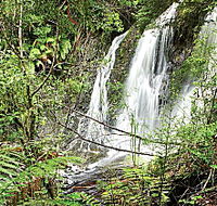 Hogarth Falls - Taree Accommodation