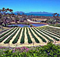 Kate's Berry Farm - Taree Accommodation