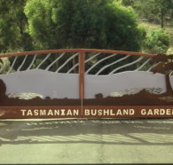 Tasmanian Bushland Garden - Taree Accommodation
