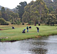 Penguin Golf Course - Taree Accommodation