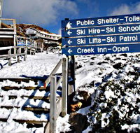 Ben Lomond National Park - Taree Accommodation