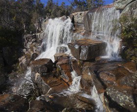 Capital Hill ACT Taree Accommodation