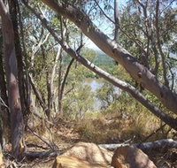 Black Mountain - Taree Accommodation