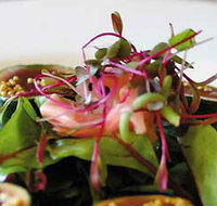 Courgette - Taree Accommodation