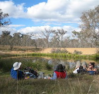Canberra Nature Park - Taree Accommodation
