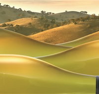 Canberra District Wine Region - Taree Accommodation