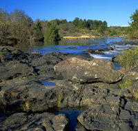 Pine Island to Point Hut Reserve - Taree Accommodation