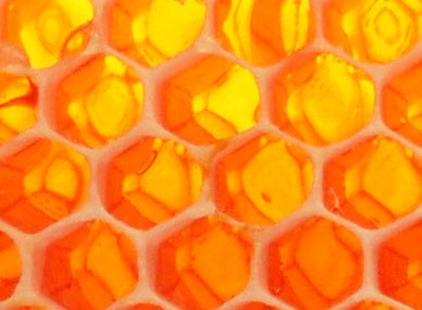 Glendevie TAS Taree Accommodation